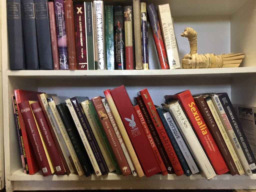 bottom-shelves
